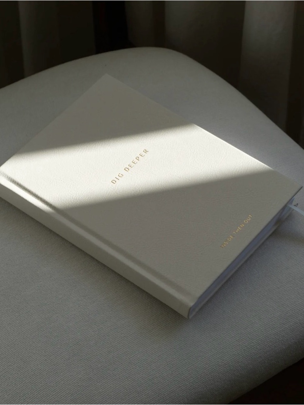 Dig Deeper Journal